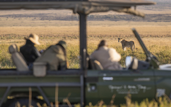 Governors' Il Moran Camp: Löwenbegegnung