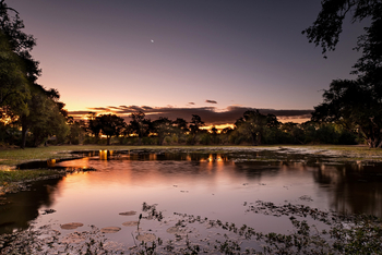 Ingwe Pan Camp: Abend über der Ingwe Pan