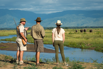 John's Camp John's Camp: Elefanten auf den Sandbänken