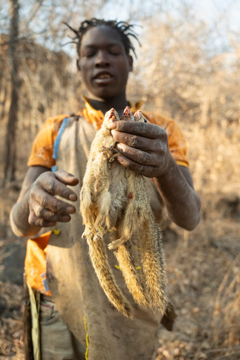 Kisima Ngeda Camp: Hadzabe-Jagd