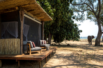 Little Ruckomechi Camp: Elefant vor Zelt