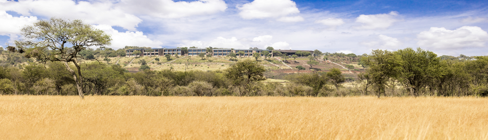 Melia Serengeti Lodge Melia Serengeti Lodge: Gesamtansicht