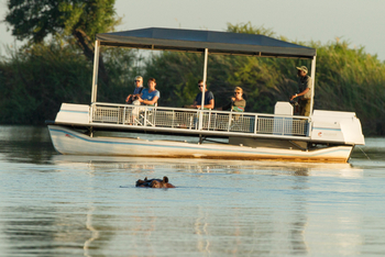 Muchenje Safari Lodge: Hippo
