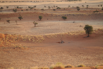 Namib Dune Star Camp Namib Dune Star Camp: Wasserloch