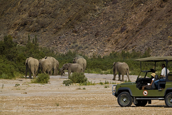 Sanctuary Okahirongo Elephant Lodge: Elephant Tracking