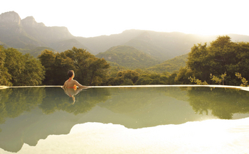 Sarara Tree: Infinity Pool