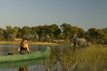 Selinda Explorers Camp Selinda Explorers Camp: Kanu und Elefant