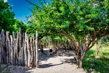 Semowi Nature Camp: Boma