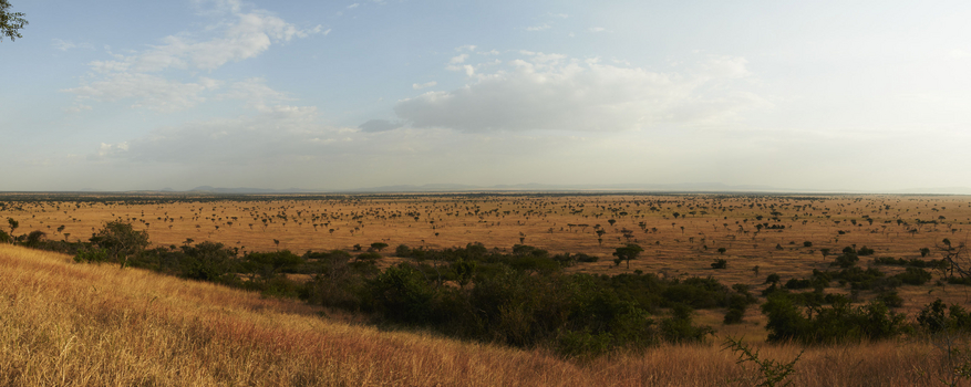 Sinigita Grumeti Game Reserve