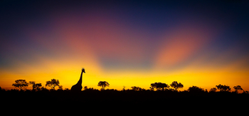 Tanda Tula Safari Camp: Landschaft