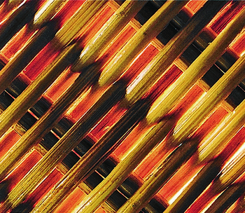 The Oberoi Rajvilas: Zuckerrohrgeflecht