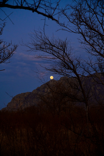 Tsodilo Hills Sleep-out: Landschaft