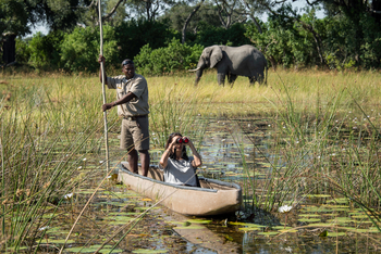 Vumbura Plains Camp: Mokoro und Elefant