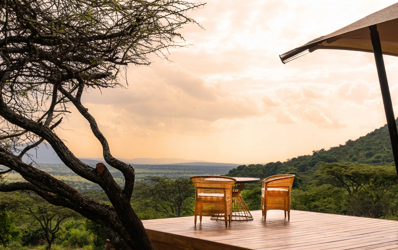 Cottar's 1920s Safari Camp Cottar's 1920s Safari Camp: Neues Doppelzelt