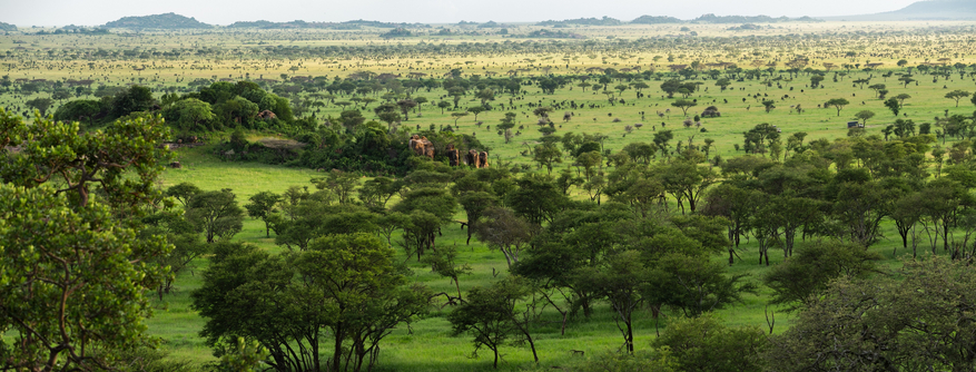 Elewana Serengeti Pioneer Camp