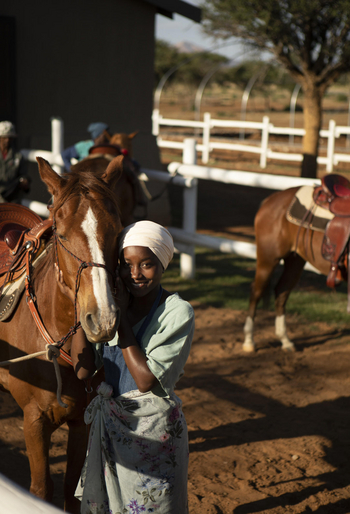 Gmundner Lodge: Pferde