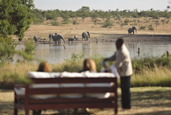 Kicheche Laikipia Camp: Elefanten am Stausee