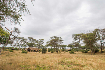 Kuro Tarangire Camp: Lage im Busch