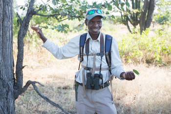 Mvuu Lodge: Walking Safari