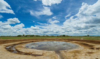 Nxai Pan Camp: Wasserloch