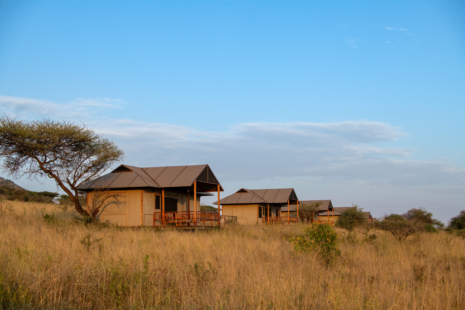 Nyikani Camp Central Serengeti Nyikani Camp Central Serengeti: Gästezelte