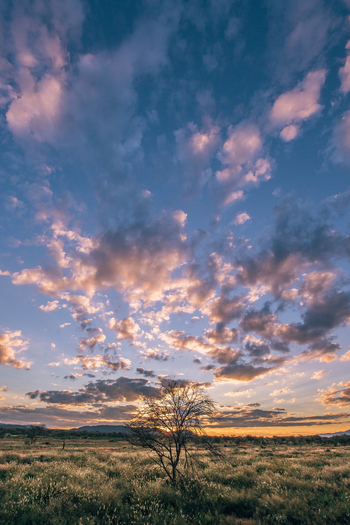 Old Traders Lodge: Landschaft