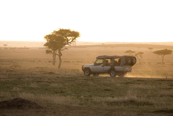 Serian Serengeti Lamai: Game Drive