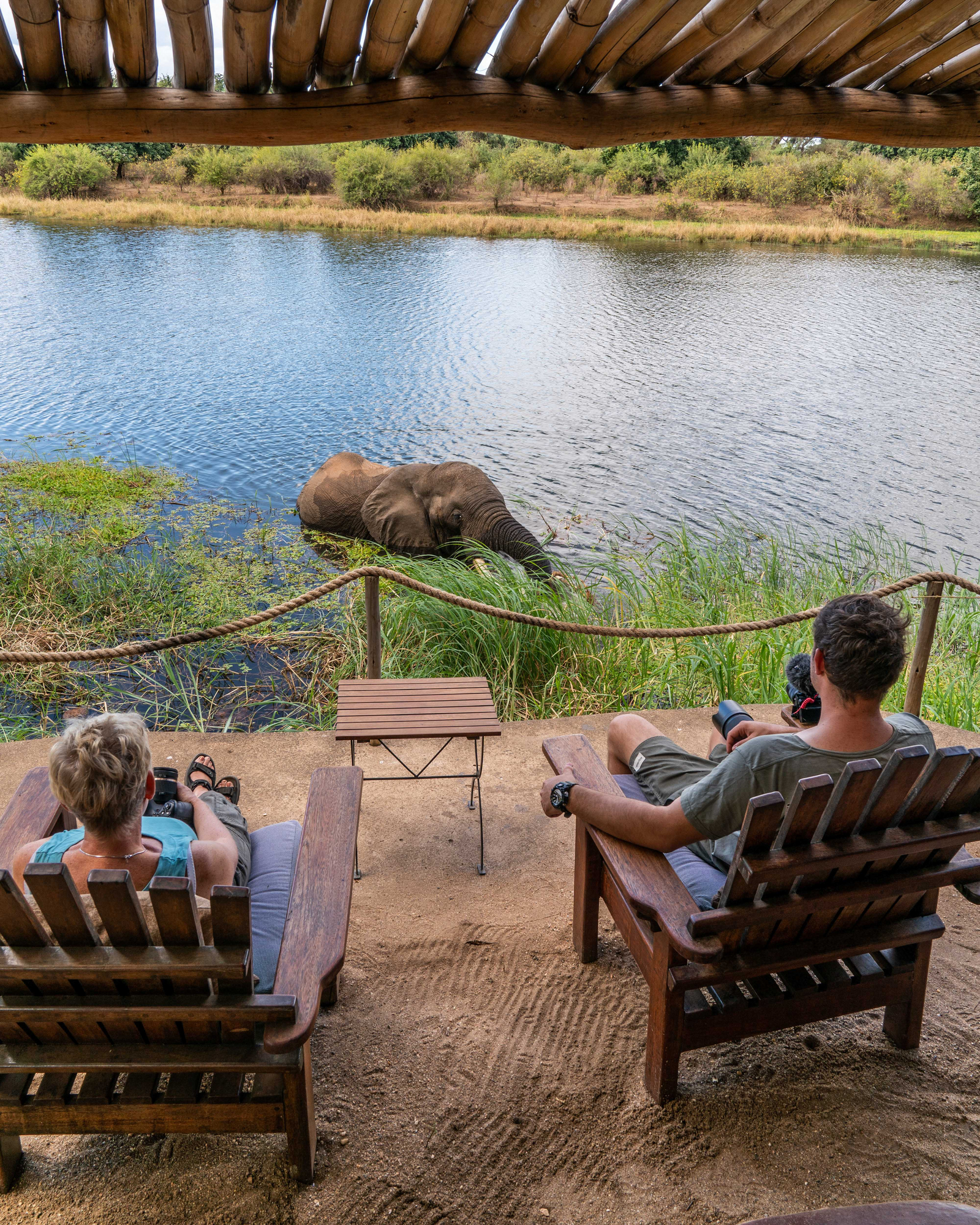 Time + Tide Chongwe Camp Time + Tide Chongwe Camp: Elefant im Chongwe