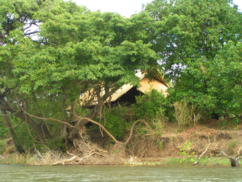 Vundu Camp Vundu Camp: Bäume vor dem Hauptgebäude