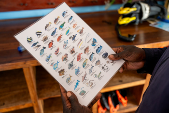 Azura Benguerra Island: Schnorcheln