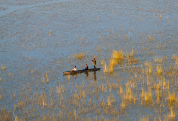 Belmond Eagle Island Lodge: Mokoro von oben