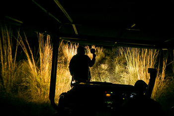 Bushman Plains Camp: Night Drive mit Spezialscheinwerfer
