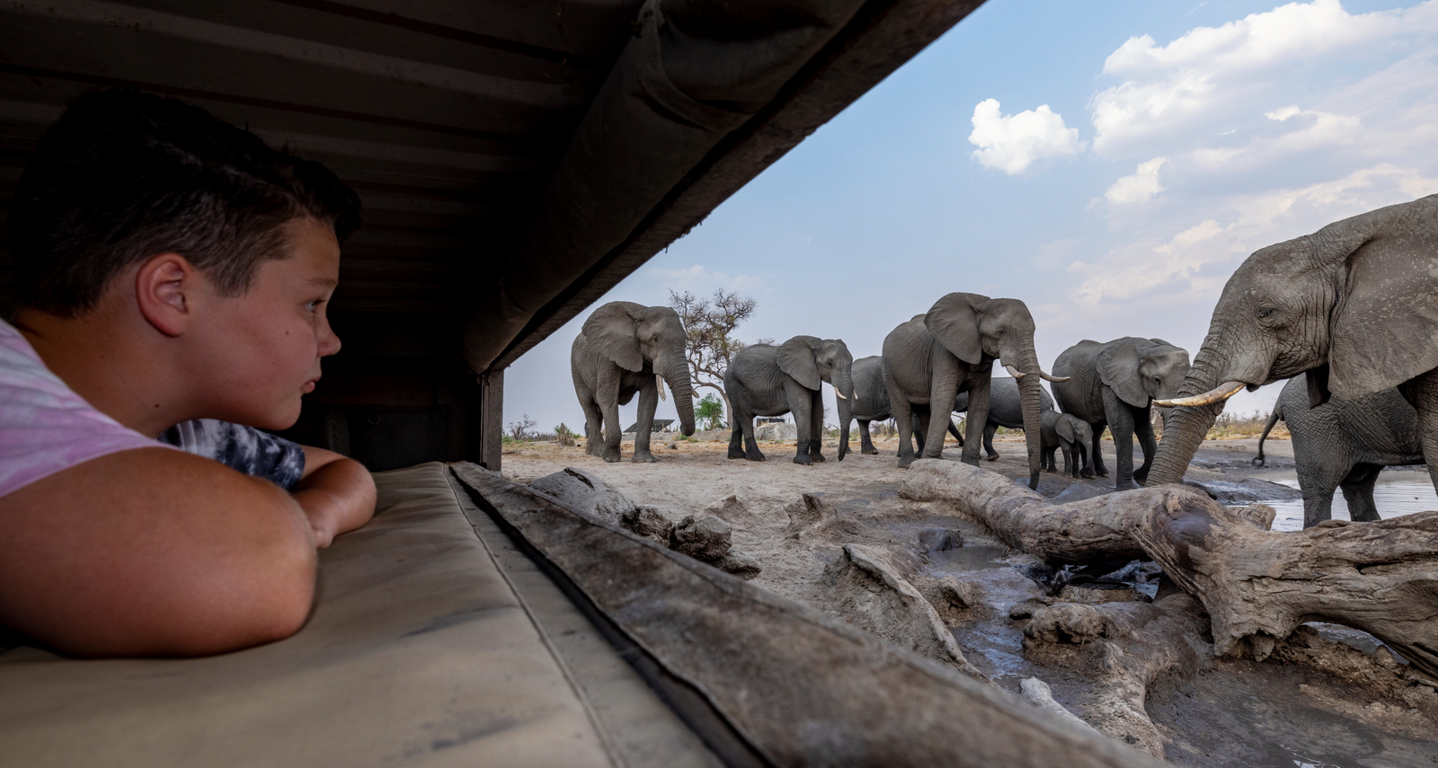 Elephant Pan Camp Elephant Pan Camp: Elefanten im Anmarsch