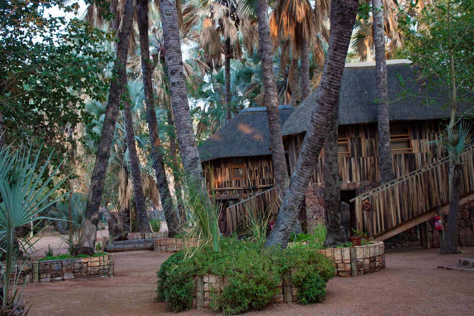 Epupa Falls Lodge Epupa Falls Lodge: Palmen auf dem Gelände