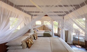 Ila Safari Lodge Ila Safari Lodge: Familienzelt