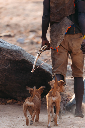 Kisima Ngeda Camp: Hadzabe-Jagd