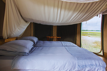 Kuthengo Camp: Familieneinheit