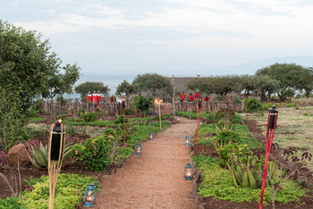 Lake Manyara Kilimamoja Lodge: Gärten