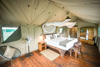 Mogogelo Camp Mogogelo Camp: Gästezelt - Innenansicht