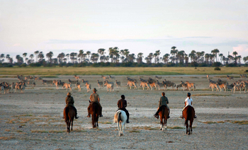 Camp Kalahari Camp Kalahari: Ritt durch die Pfannen