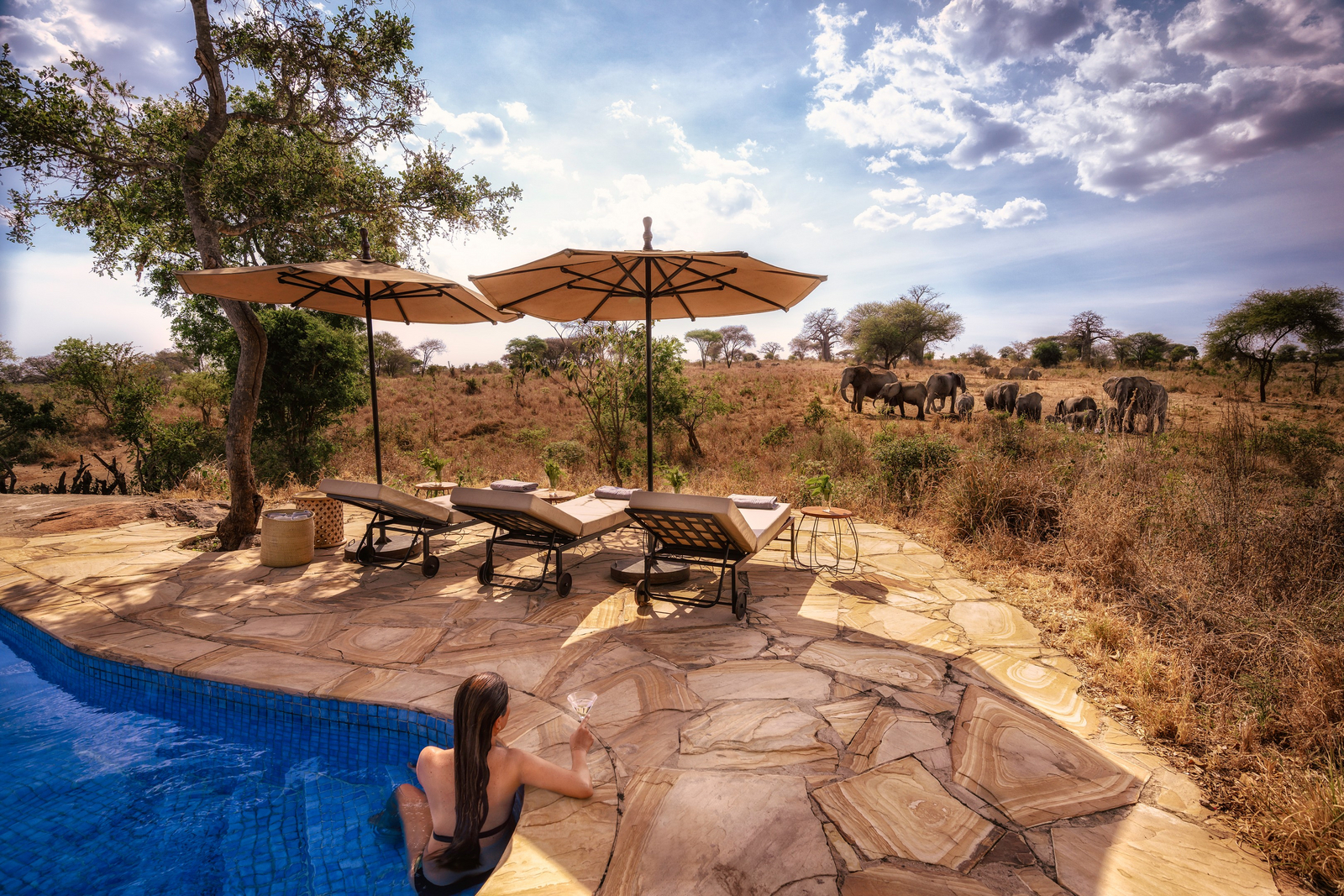 Nimali Tarangire Camp Nimali Tarangire Camp: Liegestühle und Sonnenschirme