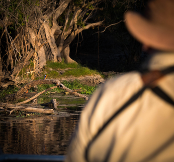 Ntemwa Busanga Bushcamp Ntemwa Busanga Bushcamp: Malachite Kingfisher
