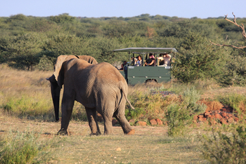 Old Traders Lodge: Aktivitäten