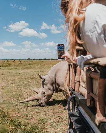 Porini Rhino Camp: Nashorn vor dem Fahrzeug