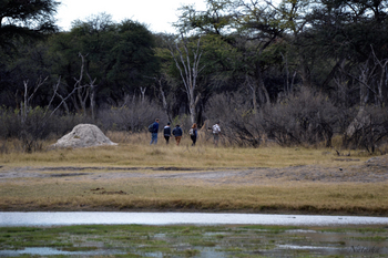 The Hide: Walking Safari