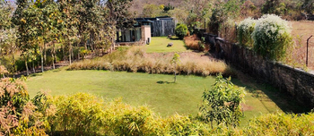 Woods at Sasan: Som-Garten