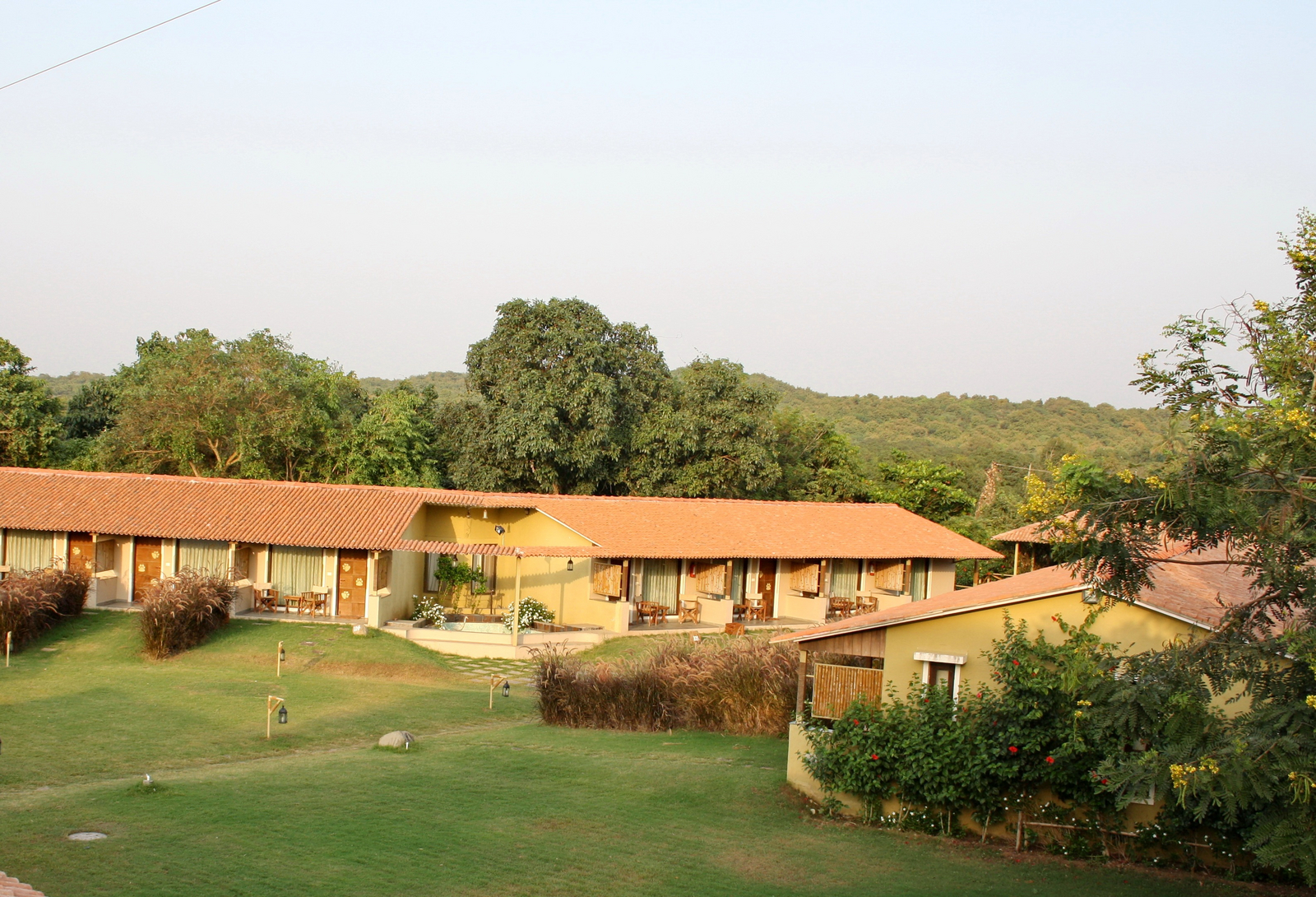 Asiatic Lion Lodge Asiatic Lion Lodge: Bäume hinter einem Zimmerblock