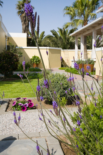 Cornerstone Guesthouse: Blick in den Garten