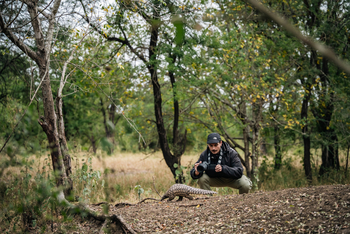 Gorongosa Safaris: Fotograf bei Pangolin Foraging Walk