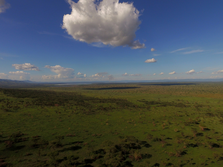 Kasenyi Safari Camp